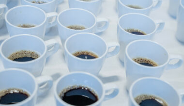 Kaffebudsjett på 20,9 millioner