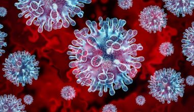 Fugleinfluensavirus herjer verden over: - Kan bli vår neste pandemi