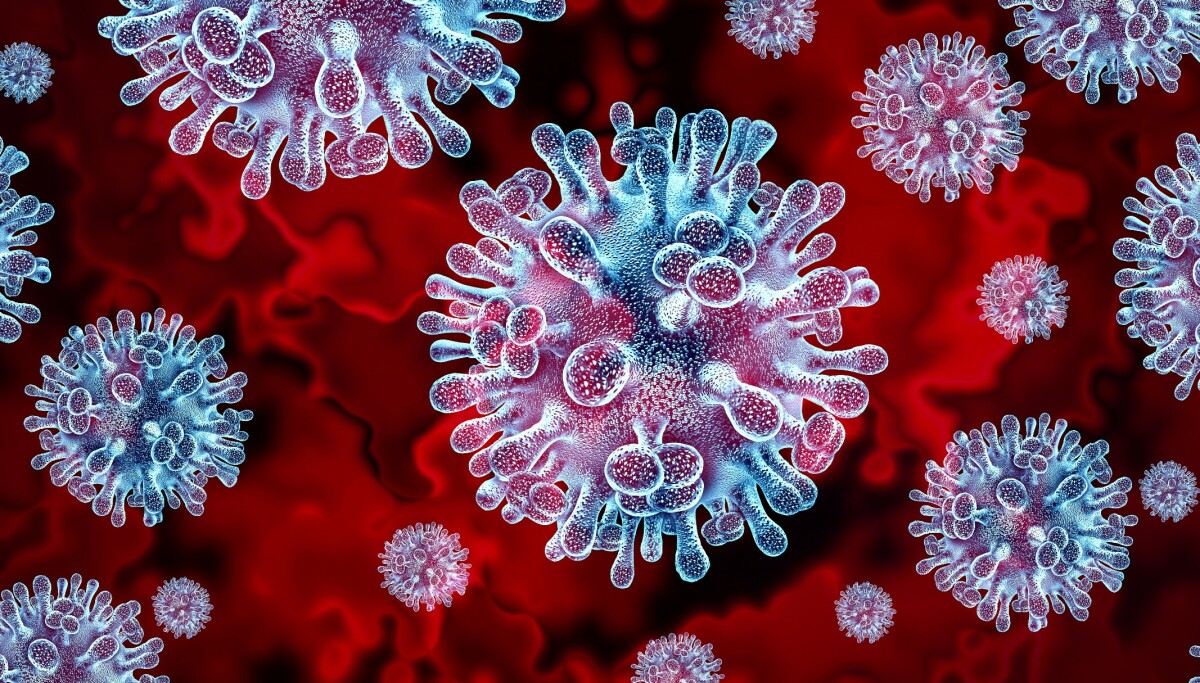 Fugleinfluensavirus herjer verden over: - Kan bli vår neste pandemi