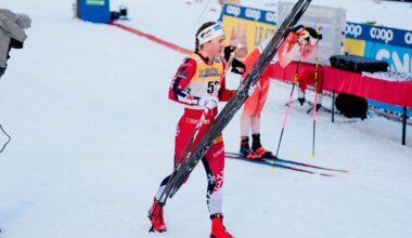 Kriseprolog for tvillingene Udnes Weng