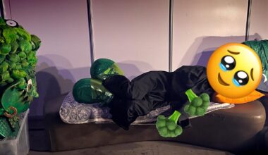 Brokkolien med ryggtrøbbel før kveldens «Maskorama»