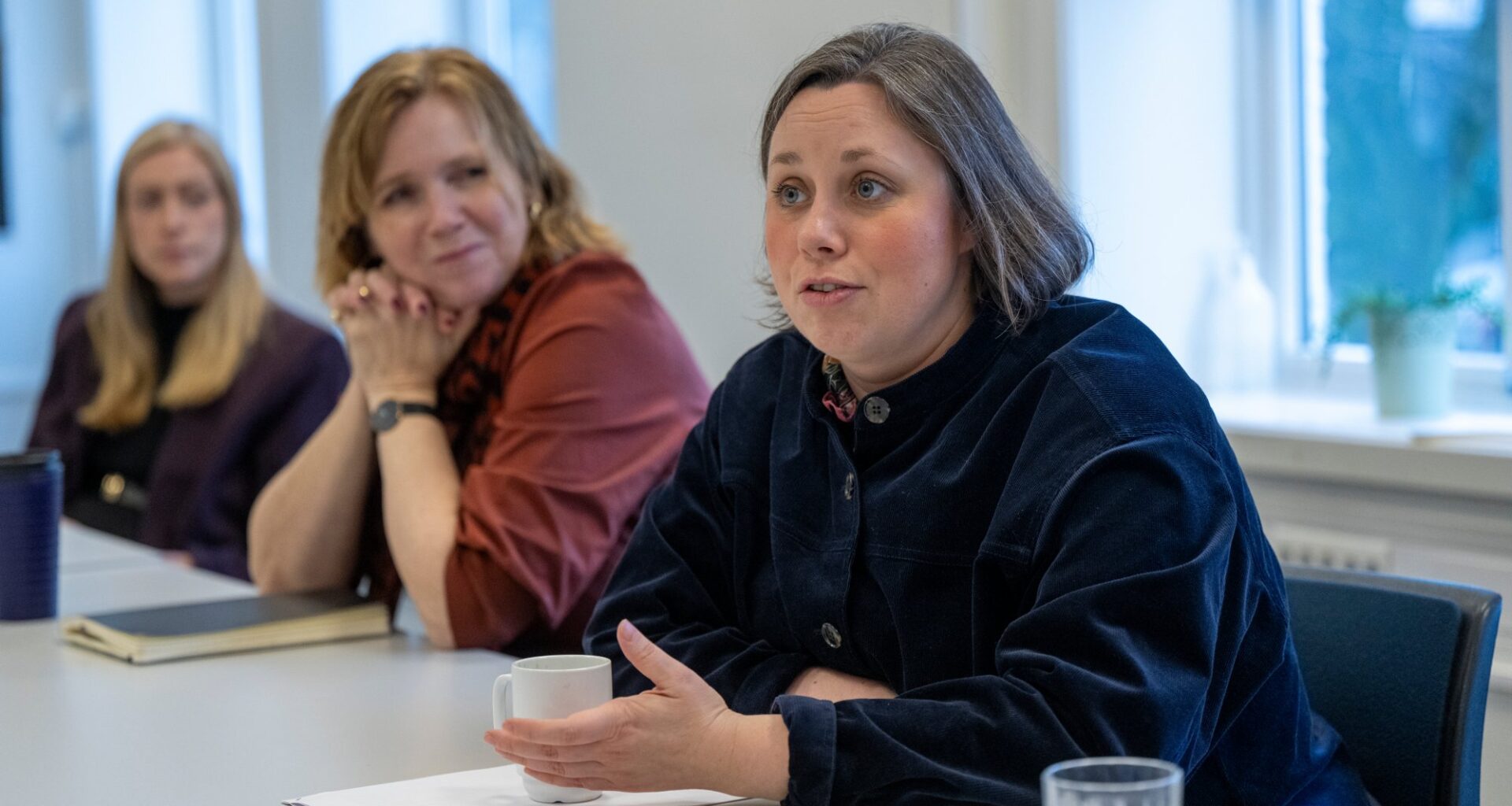 Debatt, Politikk | Ei lite tillitvekkande tillitserklæring