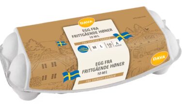 Egg solgt hos Norgesgruppen og Coop tilbakekalles etter salmonellafunn - VG