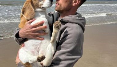 Tidligere Arsenal-spiller Aaron Ramsey skal ha forlatt den meksikanske klubben Pumas UNAM etter hundens forsvinning