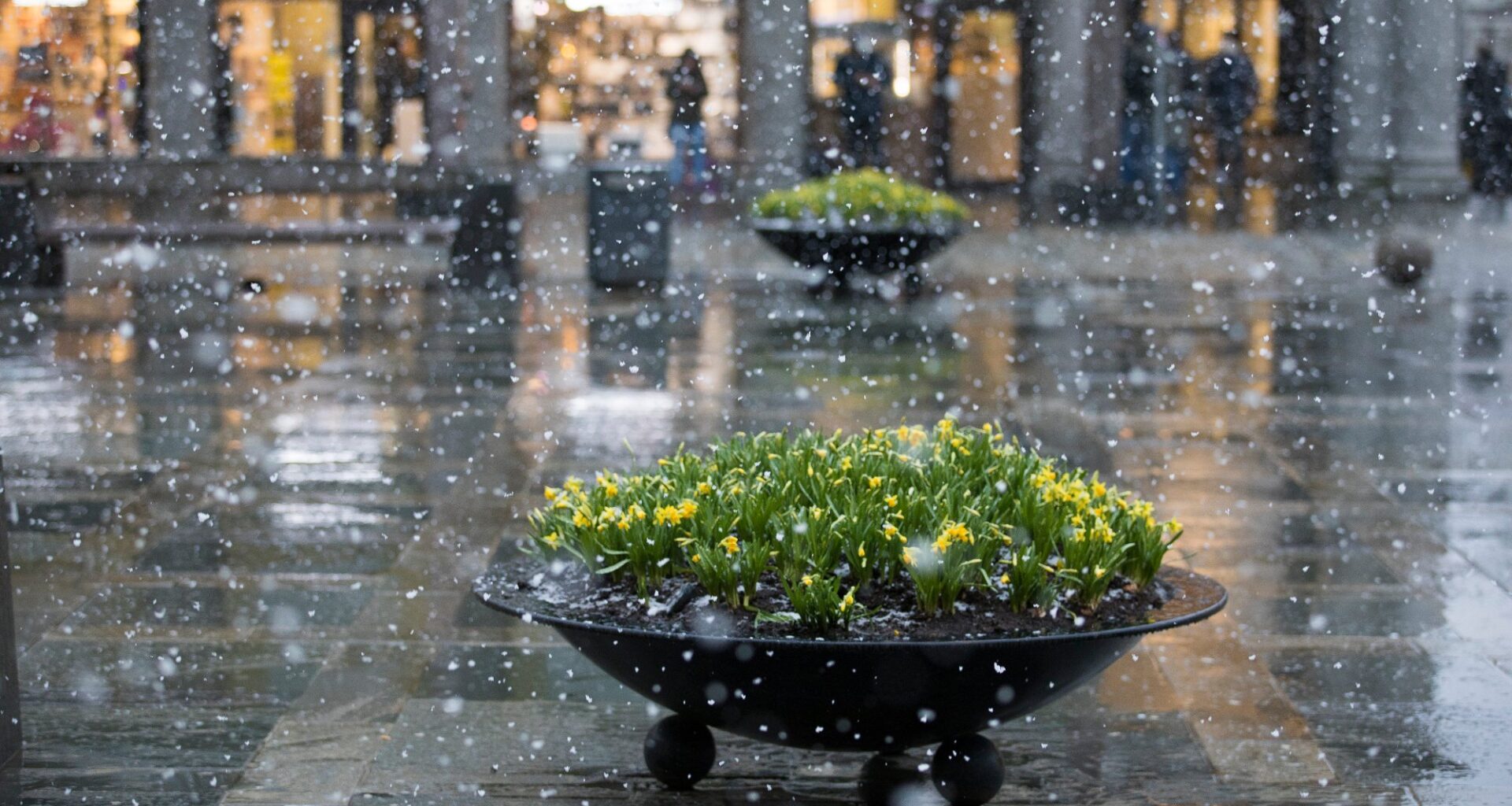 God morgen, Bergen, Bergen | God morgen, Bergen!