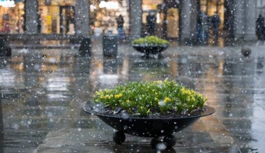 God morgen, Bergen, Bergen | God morgen, Bergen!