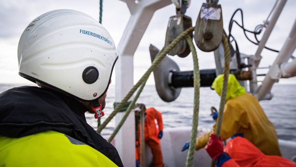 Fiskeridirektoratet på kontroll i Lofoten vinteren 2019