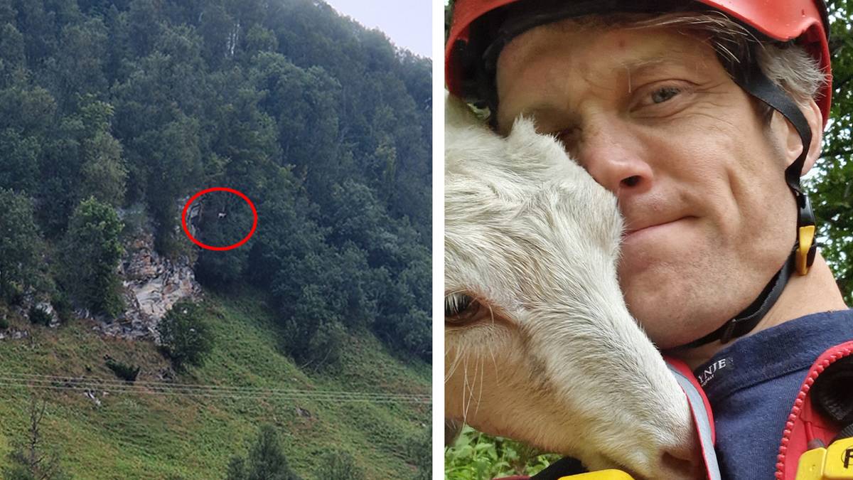 Brann og redningsmannskaper rykker ut tusenvis av ganger for å redde dyr i nød – Østfold