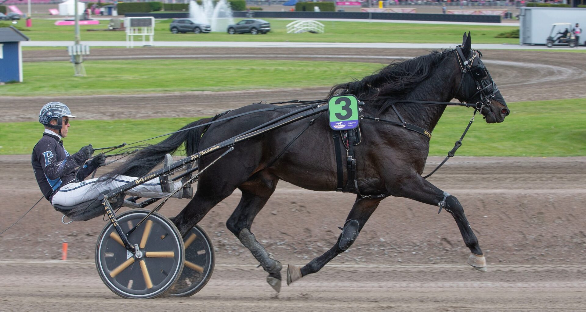 Superhelgen innledes med V65-lunsj i Halmstad