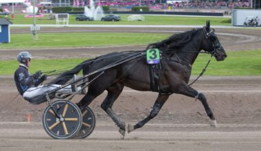 Superhelgen innledes med V65-lunsj i Halmstad