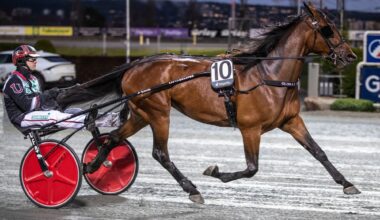 Halmstad byr på en utfordrende V64-omgang