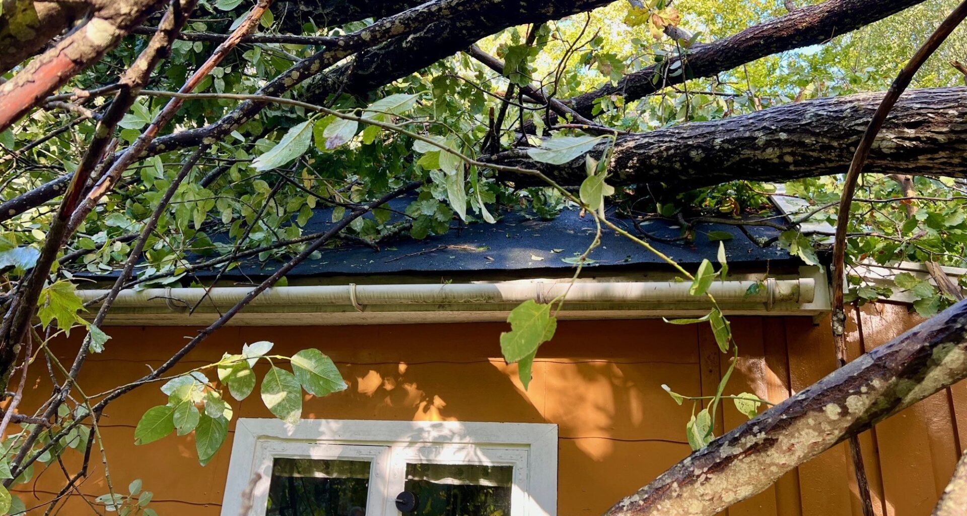 Amy, Forsikring | Har aldri fått så mange meldinger om skader