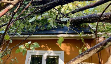 Amy, Forsikring | Har aldri fått så mange meldinger om skader