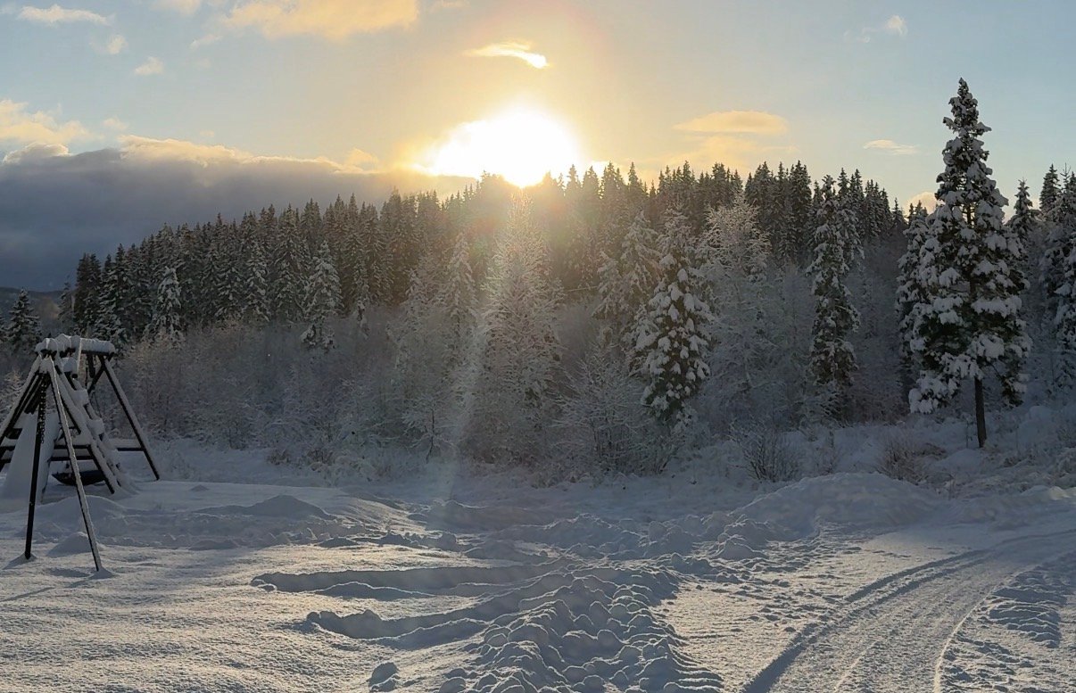 Vær, Mosjøen | Håper du på en hvit jul? Dette sier meteorologen - Helgelendingen