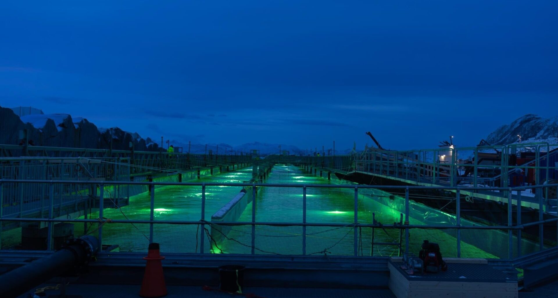 Gigante Salmon varsler emisjon på 300 millioner kroner i første kvartal 2026