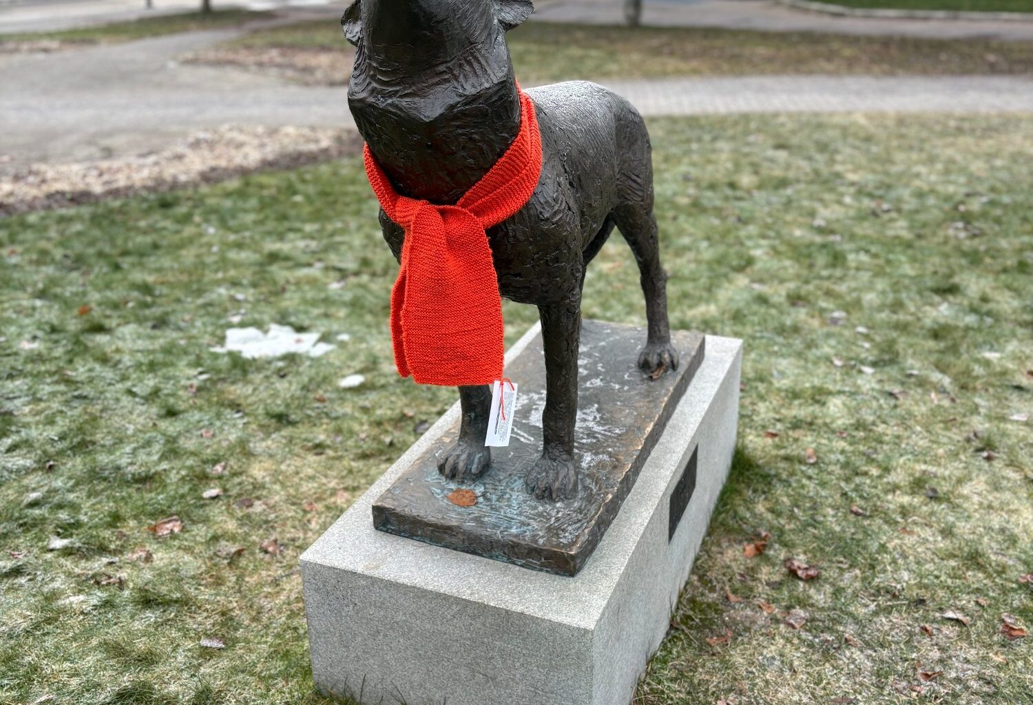 Nyhet, Kongsvinger | Derfor henger det oransje skjerf her