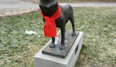 Nyhet, Kongsvinger | Derfor henger det oransje skjerf her