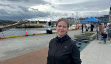 Arbeidsliv, Sentrum | Får blankt nei til «unik mulighet for næringslivet i Harstad»