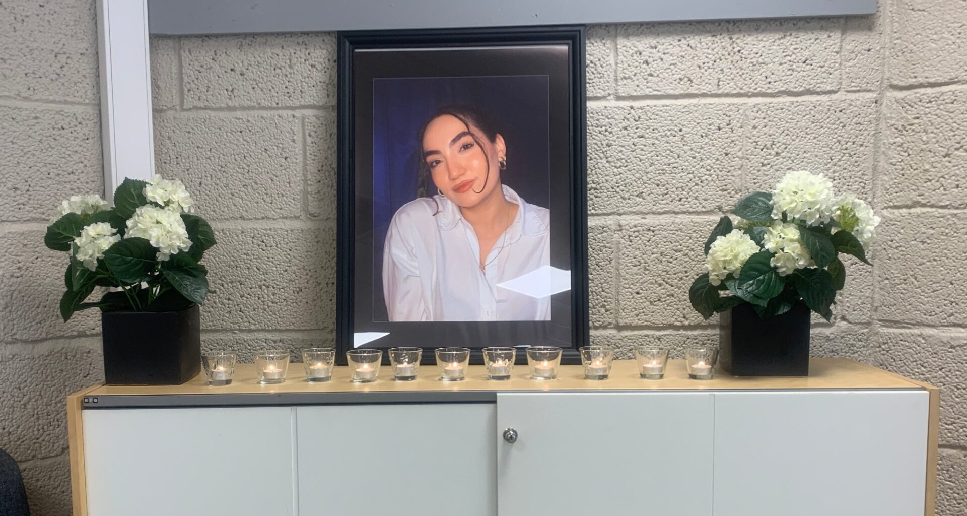 Dødsulykke, Heggedal | Bita Azizi (22) omkom – sjåføren (25) erkjenner straffskyld