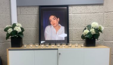 Dødsulykke, Heggedal | Bita Azizi (22) omkom – sjåføren (25) erkjenner straffskyld