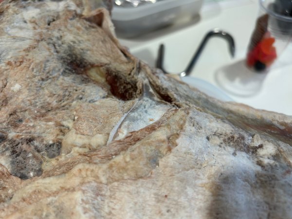 NM i kjøtt, dommere vurderer pinnekjøtt