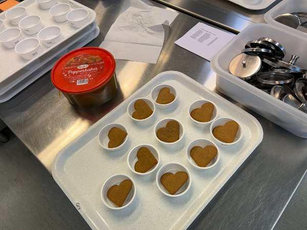 Smakstesting av pepperkaker hos Nofima