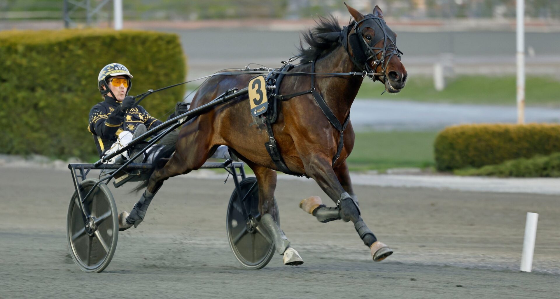Bjerke med V65-omgang på en fredag
