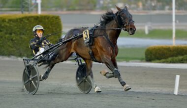 Bjerke med V65-omgang på en fredag