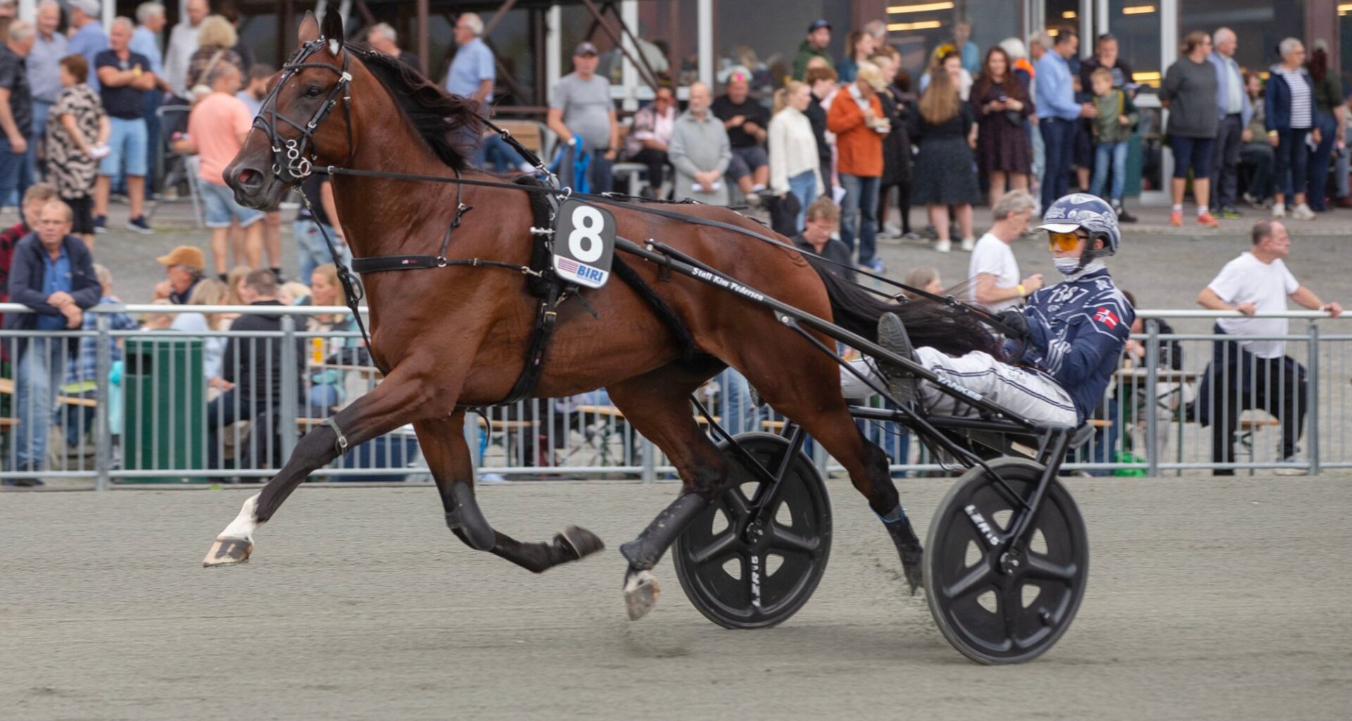 Tirsdagslunsj på Jägersro