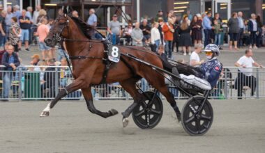 Tirsdagslunsj på Jägersro