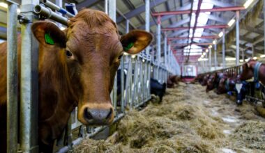 Frp, Metanhemmer | Frp vil stoppe metanhemmere i Norge