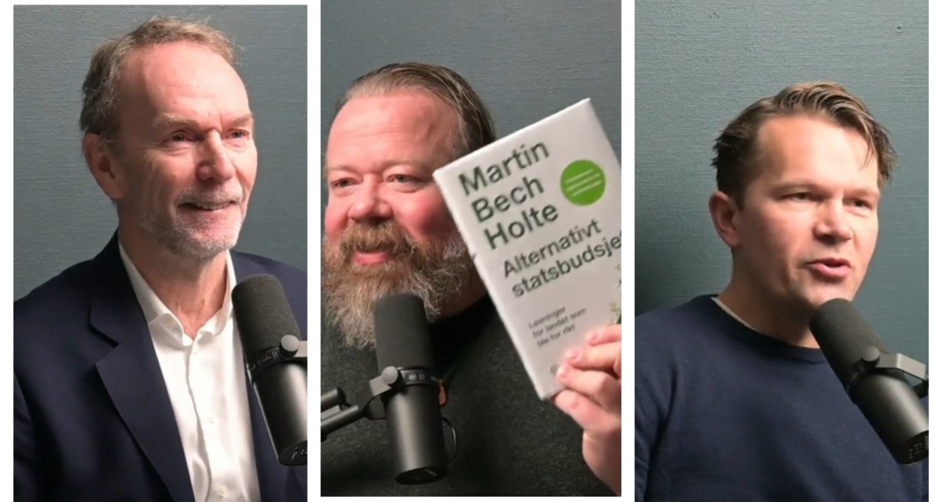 Dette er forslagene Bech Holte lanserer – en analyse