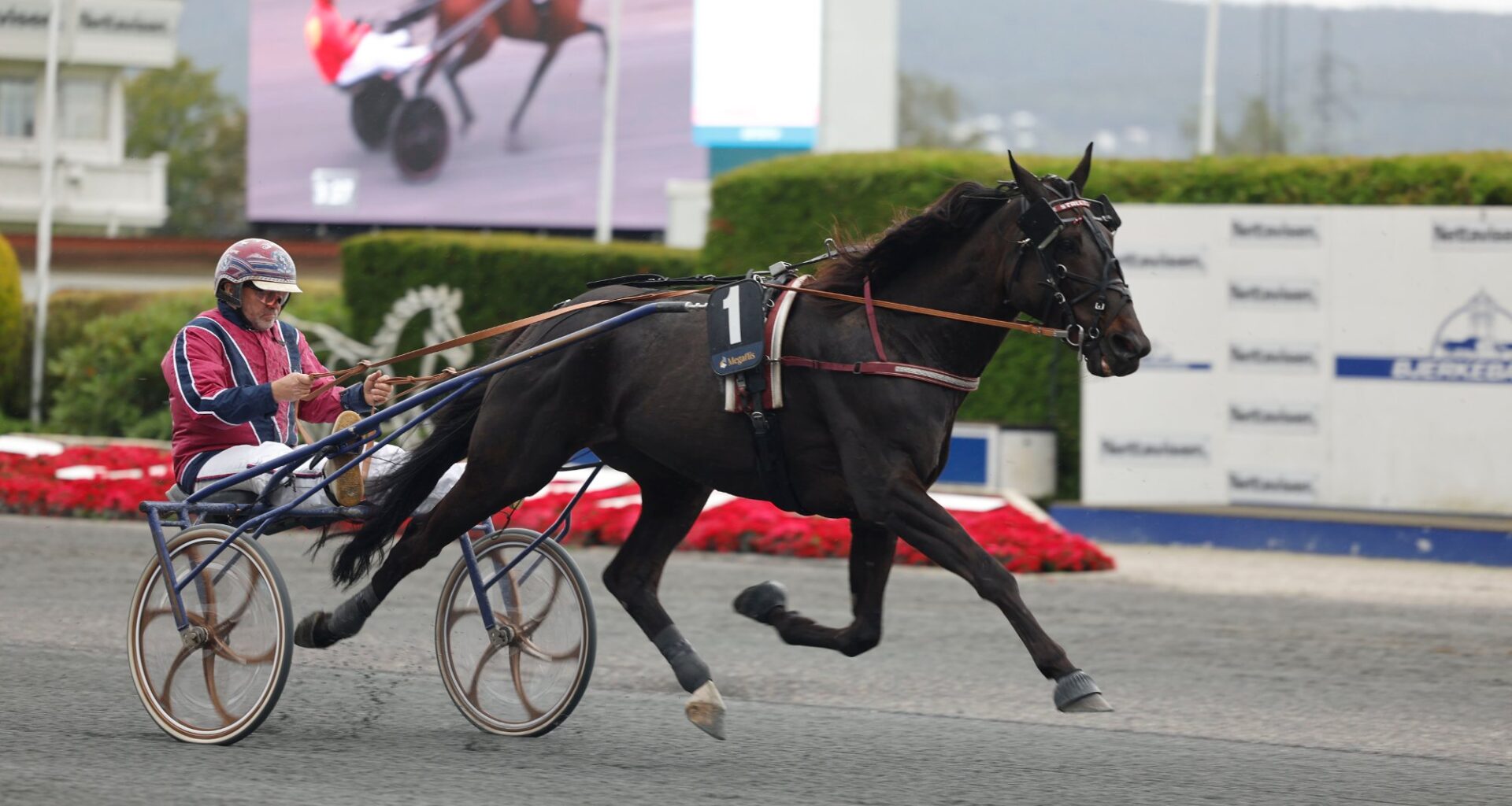 Super Saturday med V75 Gulljackpot på Varig Orkla Arena