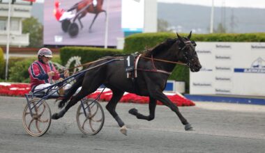 Super Saturday med V75 Gulljackpot på Varig Orkla Arena