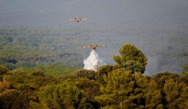 Skogbrann er bant årsakene til at europeiske skoger ikke tar opp like mye CO₂ som antatt. Frankrike vil derfor legge en nødbrems inn i klimamålet for 2040.