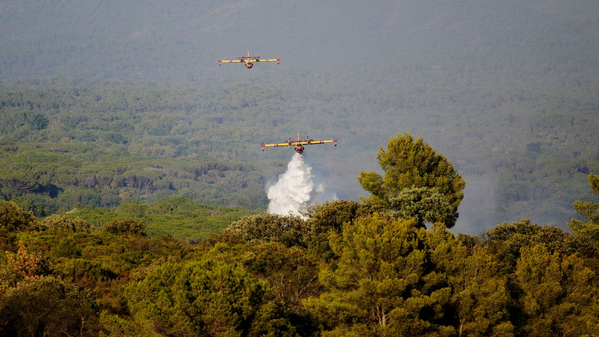 Skogbrann er bant årsakene til at europeiske skoger ikke tar opp like mye CO₂ som antatt. Frankrike vil derfor legge en nødbrems inn i klimamålet for 2040.