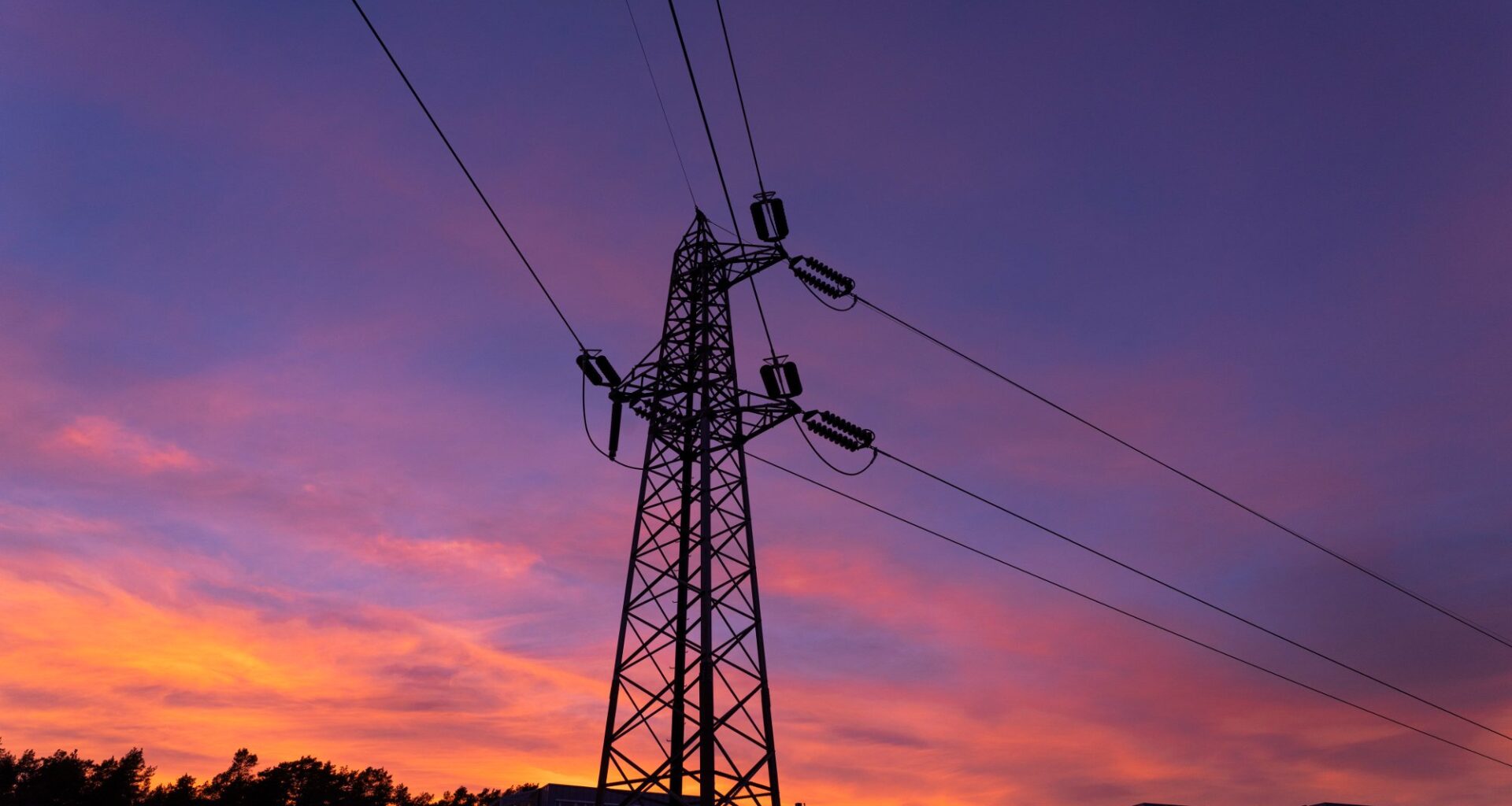 Norgespris, Elvia | Én måned med Norgespris