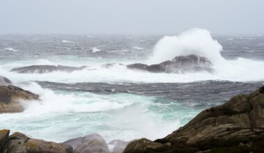Nyheter, Vær | – Vi ser at det øker på. Det blir nok en inne-fredag - Haugesunds Avis