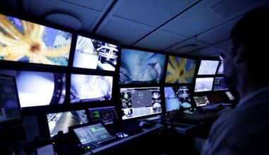 Forskere oppdager kuleformet, kjøttetende svamp i Sør-Atlanteren