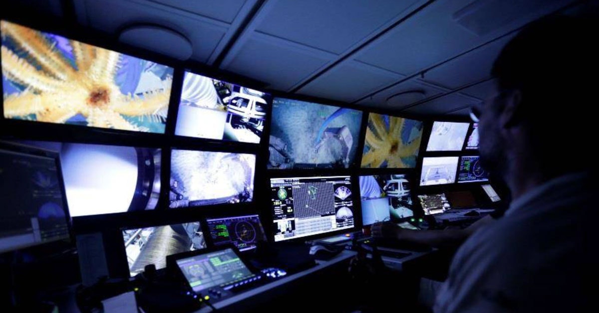 Forskere oppdager kuleformet, kjøttetende svamp i Sør-Atlanteren