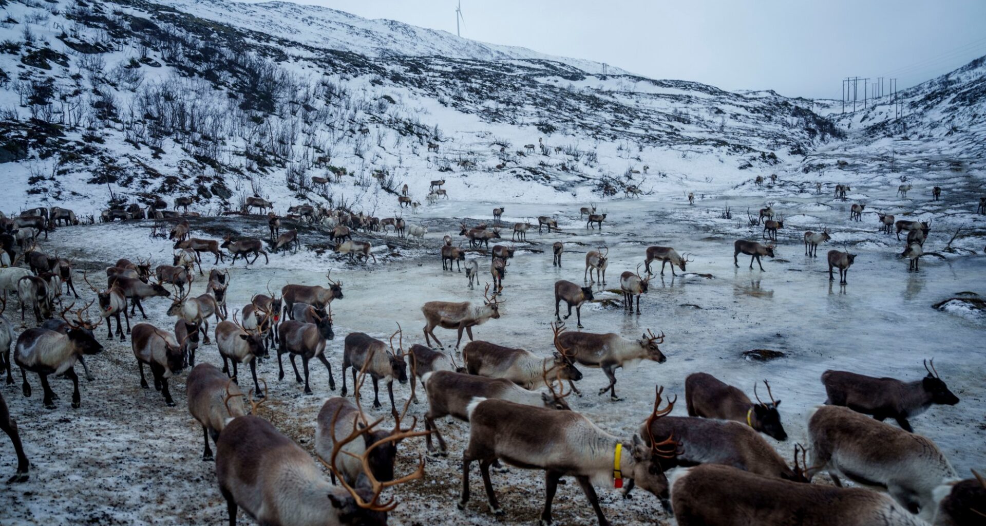 Befolkningsutvikling, Nord-Norge | Det foregår ei styrt avfolking av Nord-Norge.