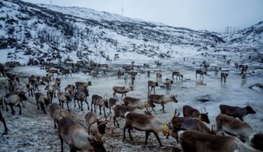 Befolkningsutvikling, Nord-Norge | Det foregår ei styrt avfolking av Nord-Norge.
