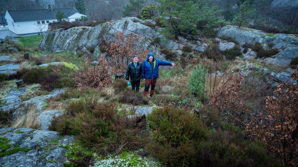 Reagerer på forskjellsbehandling for bygging i strandsona – NRK Sørlandet – Lokale nyheter, TV og radio