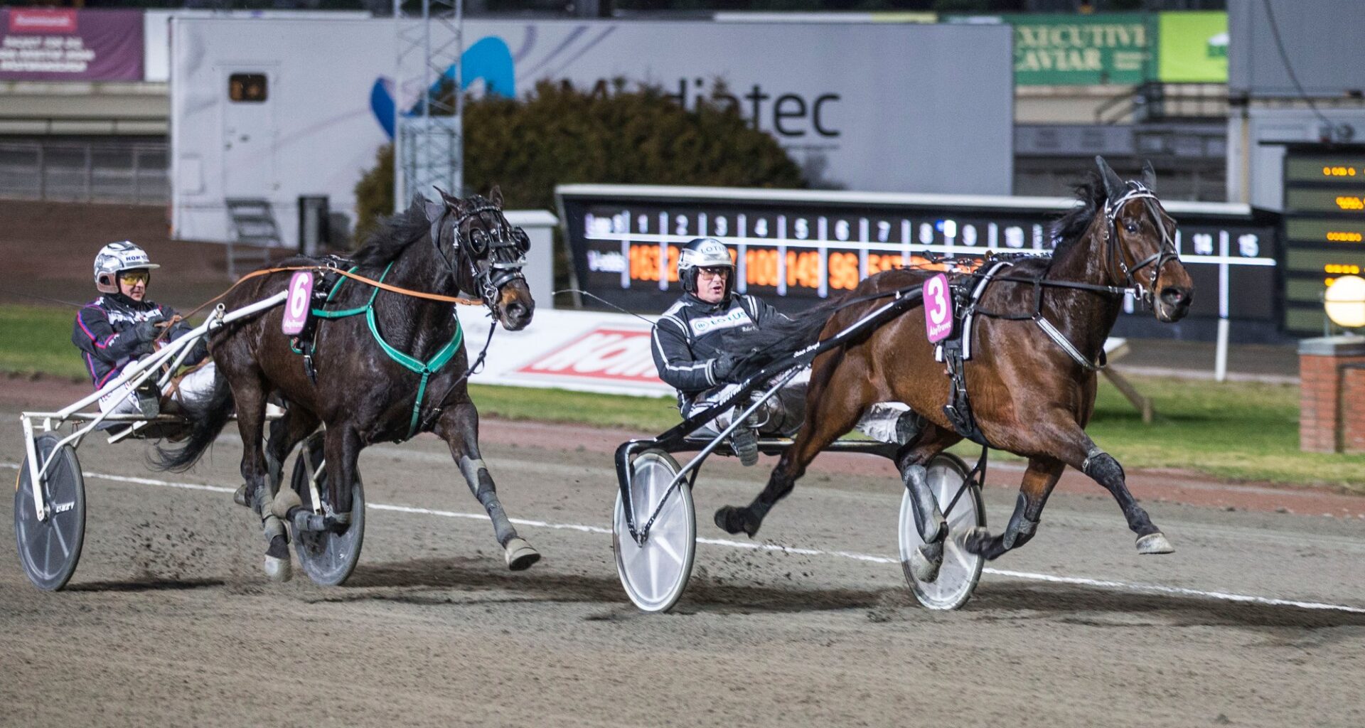 Vi garderer favorittene til lunsj