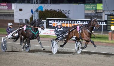 Vi garderer favorittene til lunsj