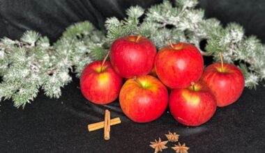 Eple, Bama | Eplesalget overrasker: – Pleier ikke dukke opp i butikkene før i desember