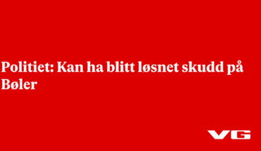 Kan ha blitt løsnet skudd på Bøler