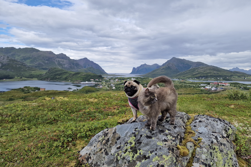 Nyheter, Meninger | Fra vondt til verre - Bladet Vesterålen