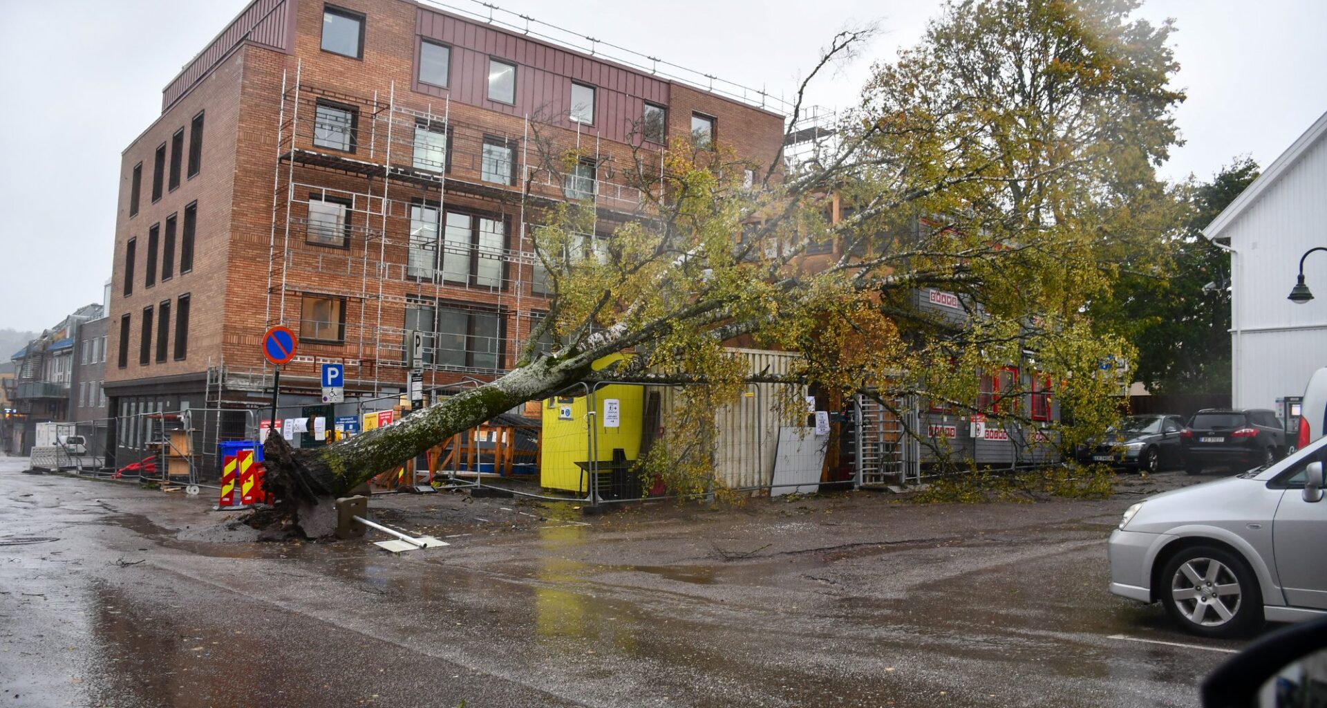 Nå har regningen etter stormen kommet : – Mye penger for oss - Tønsbergs Blad