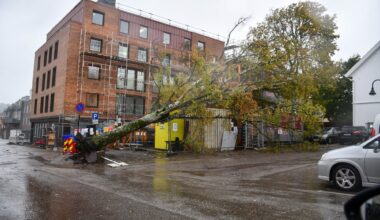 Nå har regningen etter stormen kommet : – Mye penger for oss - Tønsbergs Blad